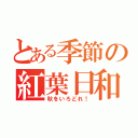 とある季節の紅葉日和（秋をいろどれ！）