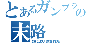 とあるガンプラの末路（妹により壊された）