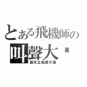 とある飛機師の叫聲大佬（頂天立地男子漢）