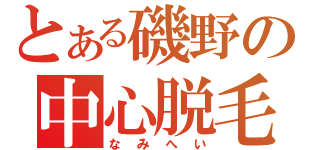 とある磯野の中心脱毛（なみへい）