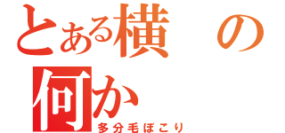 とある横の何か（多分毛ぼこり）