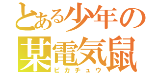 とある少年の某電気鼠（ピカチュウ）
