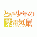 とある少年の某電気鼠（ピカチュウ）