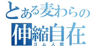 とある麦わらの伸縮自在（ゴム人間）