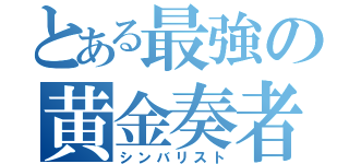 とある最強の黄金奏者（シンバリスト）