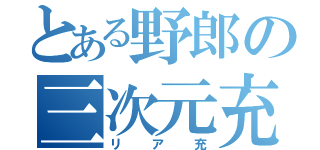 とある野郎の三次元充実（リア充）