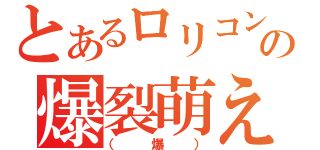 とあるロリコンの爆裂萌え萌え（（爆））