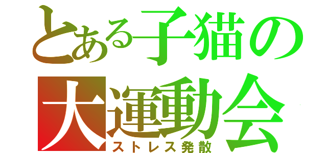 とある子猫の大運動会（ストレス発散）