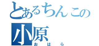 とあるちんこの小原（おはら）