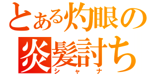 とある灼眼の炎髪討ち手（シ ャ ナ）