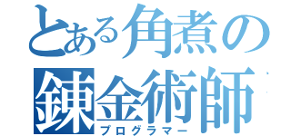 とある角煮の錬金術師（プログラマー）