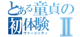 とある童貞の初体験Ⅱ（ヴァージニティ）