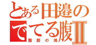 とある田邉のでてる腹Ⅱ（脂肪の塊）