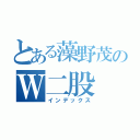 とある藻野茂のＷ二股（インデックス）