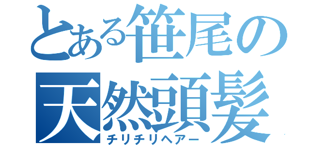 とある笹尾の天然頭髪（チリチリヘアー）