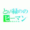 とある緑ののピーマン（東風谷早苗）