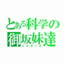 とある科学の御坂妹達（シスターズ）