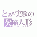 とある実験の欠陥人形（ドール）