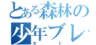 とある森林の少年ブレイブ（セト）