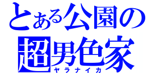 とある公園の超男色家（ヤラナイカ）