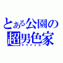 とある公園の超男色家（ヤラナイカ）