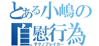 とある小嶋の自慰行為（テクノブレイカー）