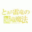 とある雷竜の滅竜魔法（ドラゴンスレイヤー）