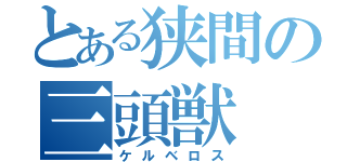 とある狭間の三頭獣（ケルベロス）