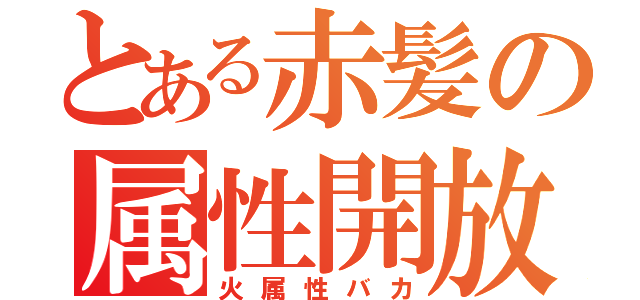 とある赤髪の属性開放（火属性バカ）