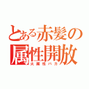 とある赤髪の属性開放（火属性バカ）