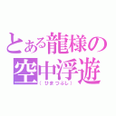 とある龍様の空中浮遊（（ひまつぶし））