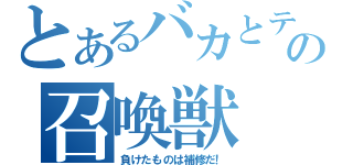 とあるバカとテストの召喚獣（負けたものは補修だ！）