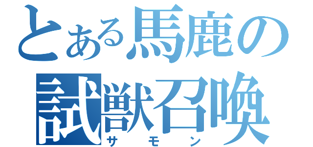 とある馬鹿の試獣召喚（サモン）