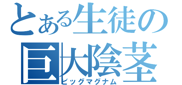 とある生徒の巨大陰茎（ビッグマグナム）