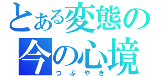 とある変態の今の心境（つぶやき）