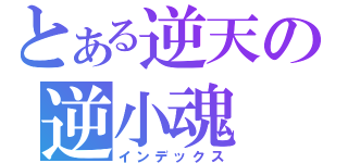 とある逆天の逆小魂（インデックス）