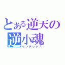 とある逆天の逆小魂（インデックス）