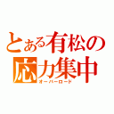 とある有松の応力集中（オーバーロード）