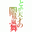 とある天才の鳳凰嵐舞（杢野）