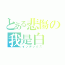 とある悲傷の我是白（インデックス）