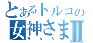 とあるトルコの女神さまⅡ（ちゅり）