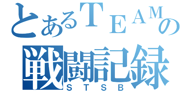 とあるＴＥＡＭの戦闘記録（ＳＴＳＢ）