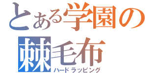 とある学園の棘毛布（ハードラッピング）