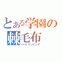 とある学園の棘毛布（ハードラッピング）