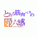 とある筋肉バカの第六感（明日を創れるのは桐生戦兎だろ！）