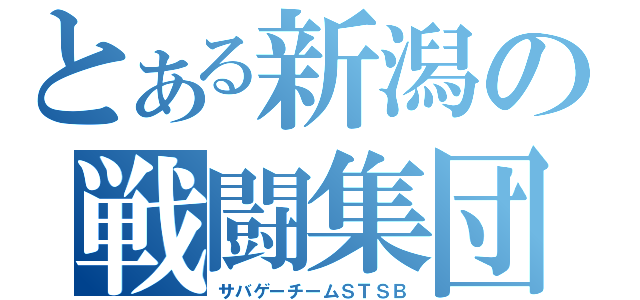 とある新潟の戦闘集団（サバゲーチームＳＴＳＢ）