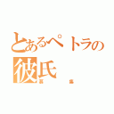 とあるぺトラの彼氏（募集）