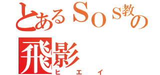 とあるＳＯＳ教の飛影（ヒエイ）