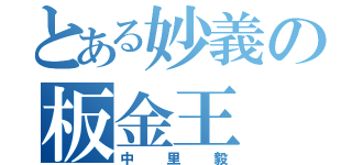 とある妙義の板金王（中里毅）