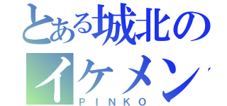 とある城北のイケメン（ＰＩＮＫＯ）